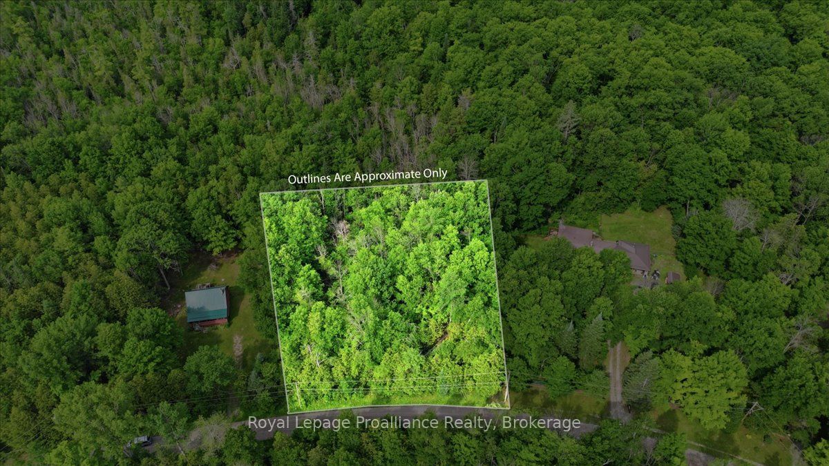 0 Swinburne Lane, Stirling-Rawdon, ON K0K 2M0 photo 3