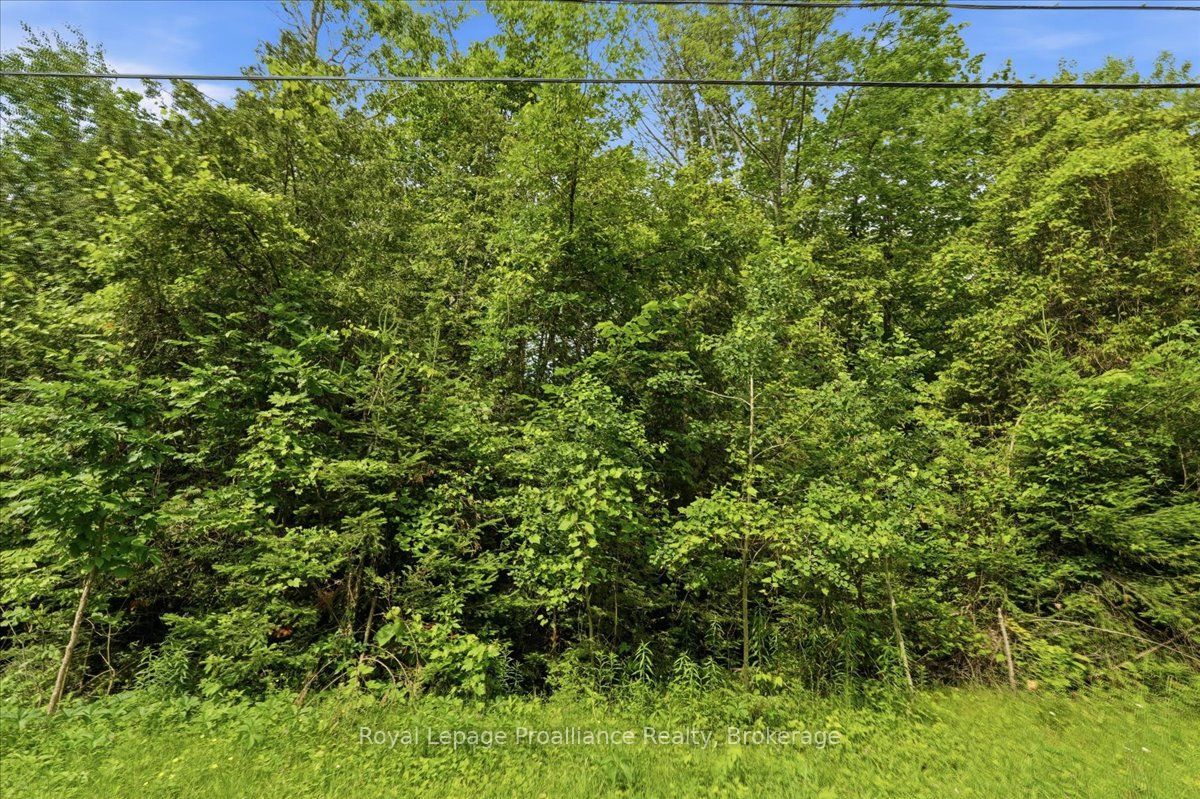 0 Swinburne Lane, Stirling-Rawdon, ON K0K 2M0 photo 4
