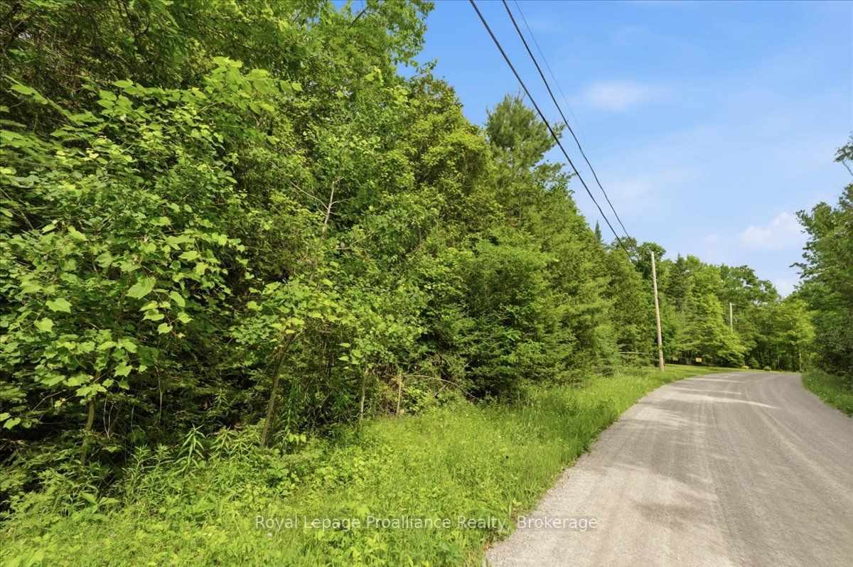 0 Swinburne Lane, Stirling-Rawdon, ON K0K 2M0 photo 5
