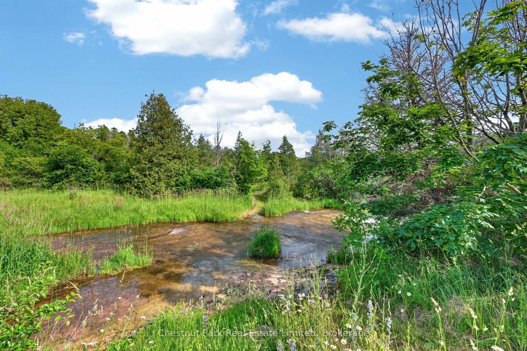 745 Crowes Road, Prince Edward County, ON K0K 2T0 photo 4