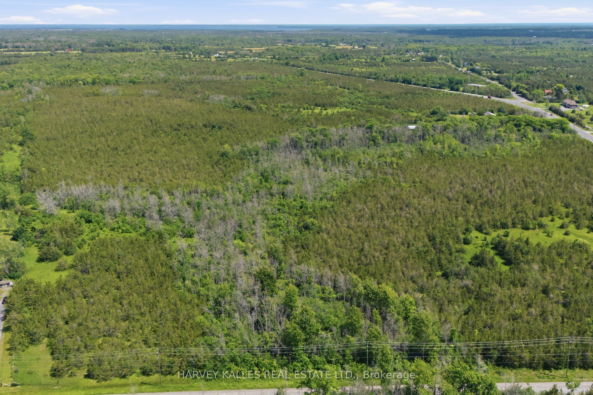 685 County 8 Road, Prince Edward County, ON K0K 2T0 photo 4