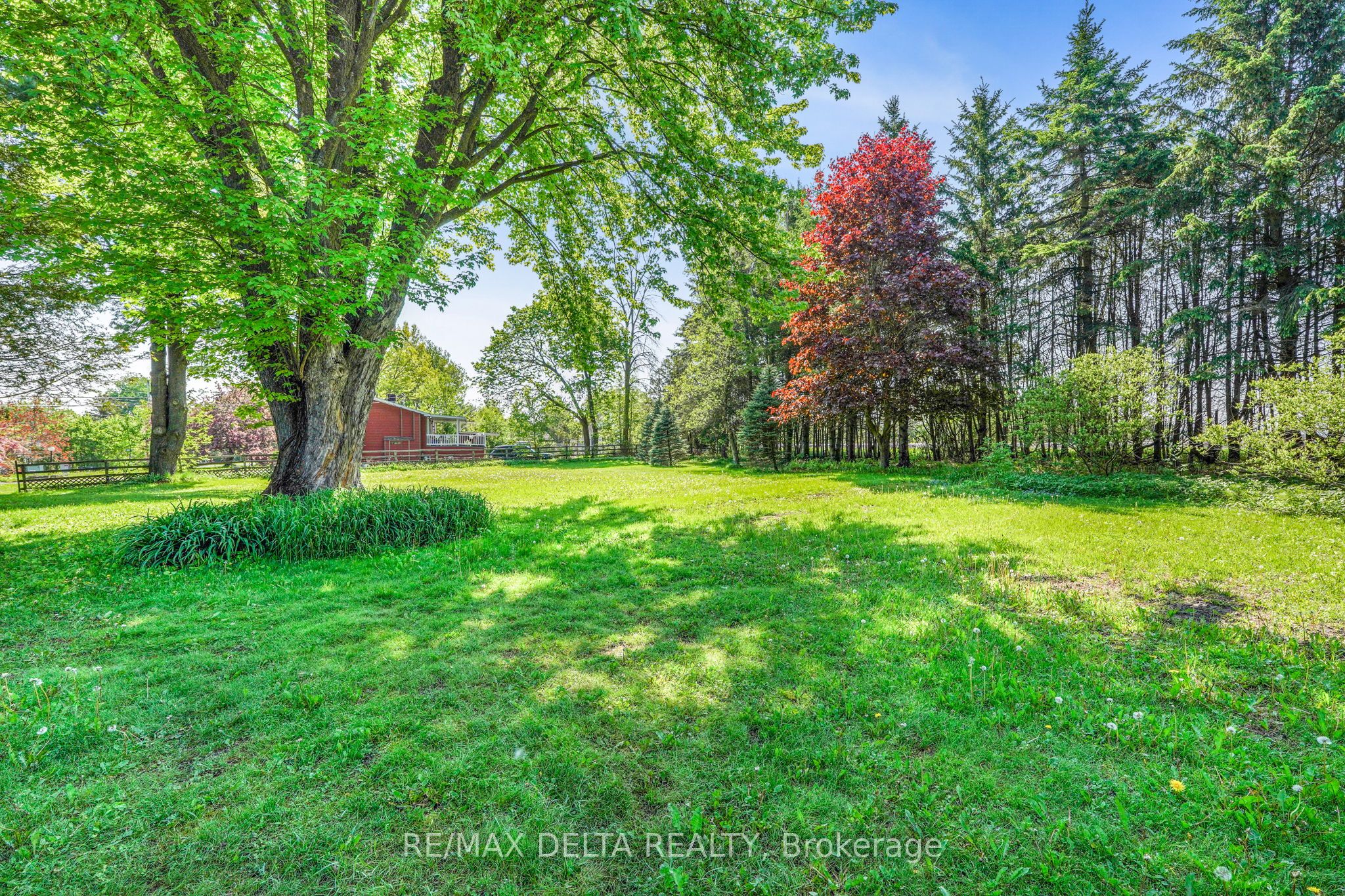 3558 Principale Street, Alfred and Plantagenet, ON K0A 3K0 photo 5