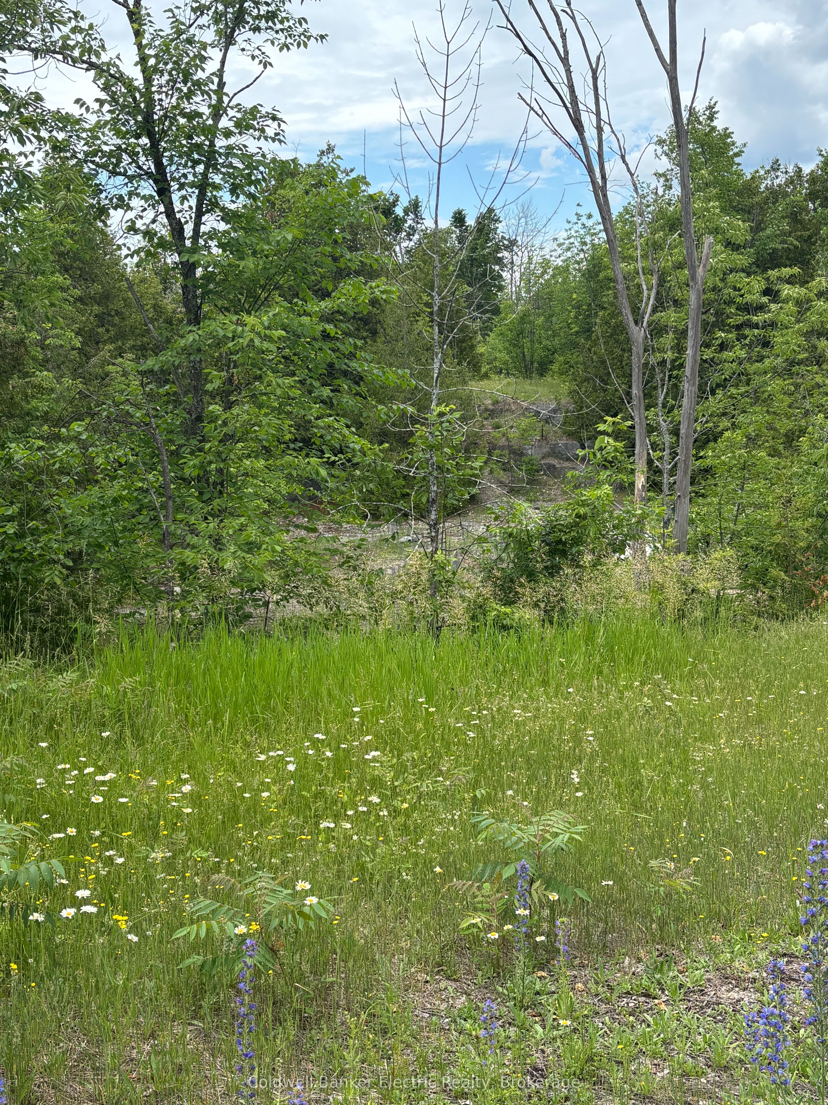 0 Tower Road, Madoc, ON K0K 1Y0