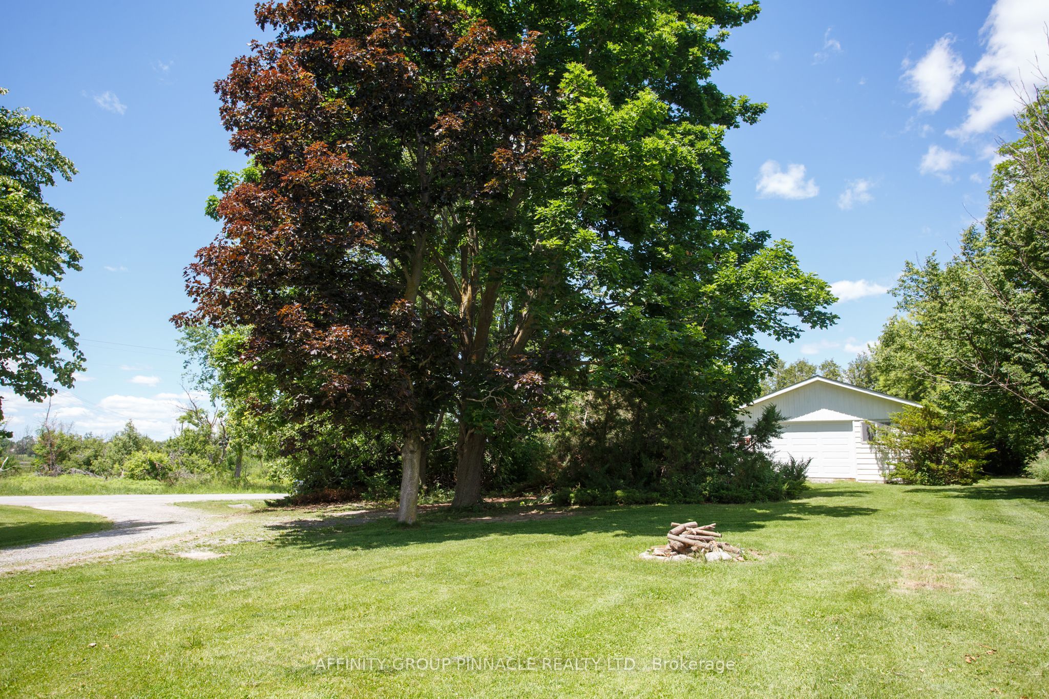 3555 7 Highway, Kawartha Lakes, ON K0L 2X0 photo 3