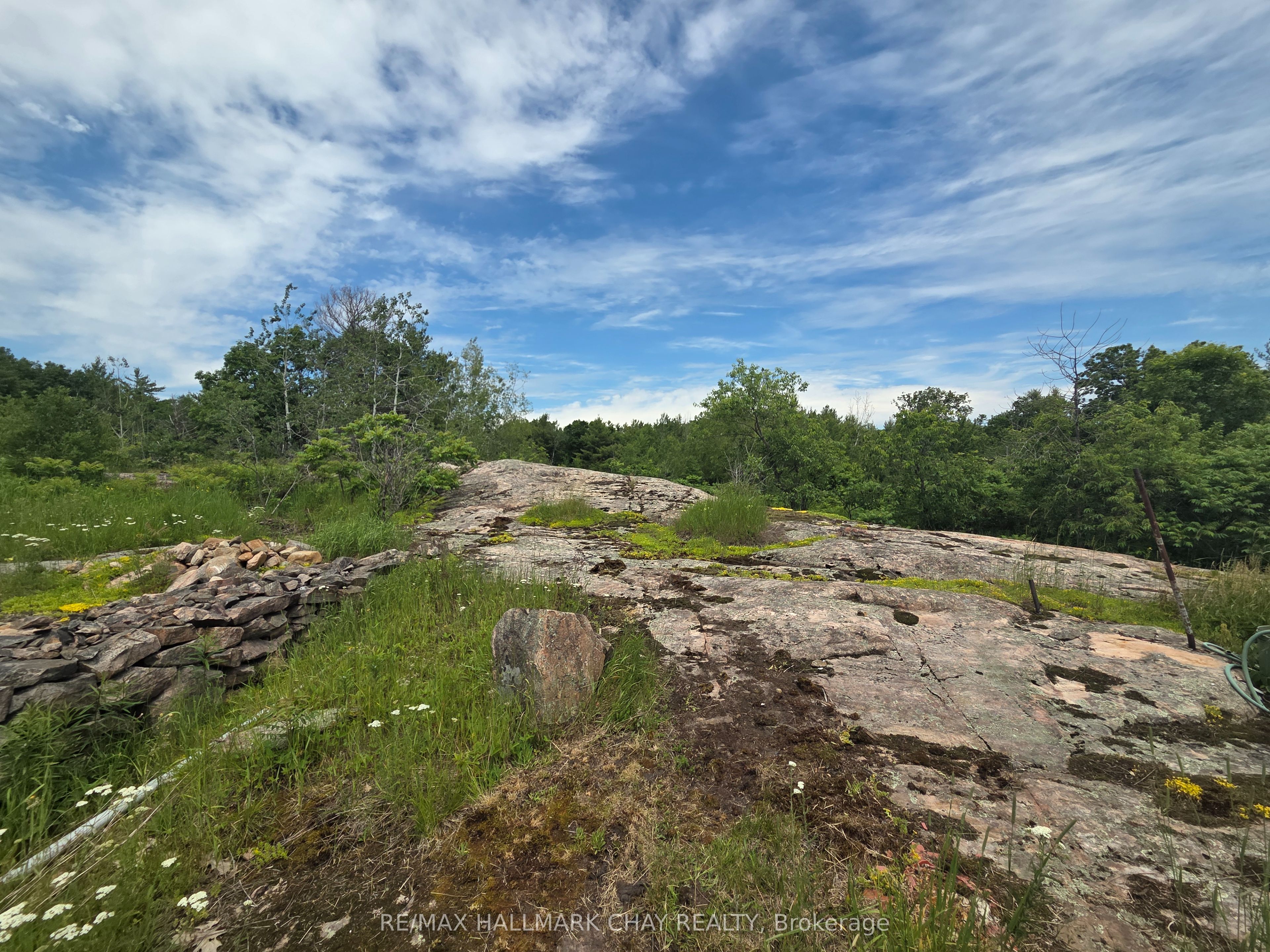 1594 Honey Harbour Road, Georgian Bay, ON L0K 1S0 photo 4