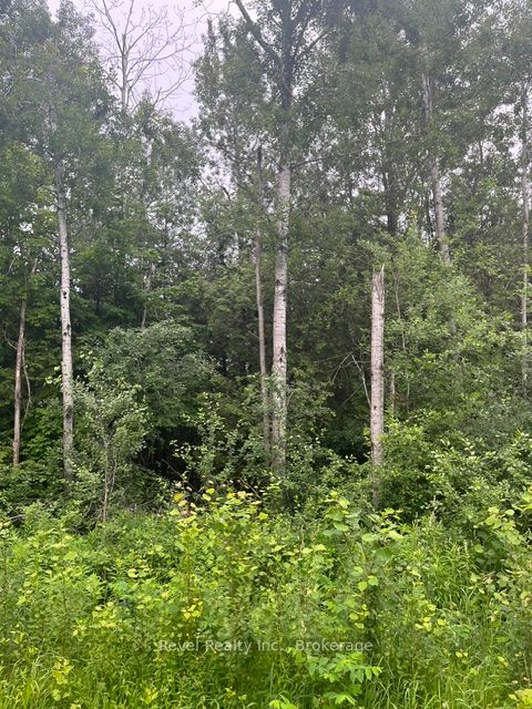 0 LILAC ROAD AT PIGEON LAKE ROAD, Kawartha Lakes, ON K9V 4R3 photo 3