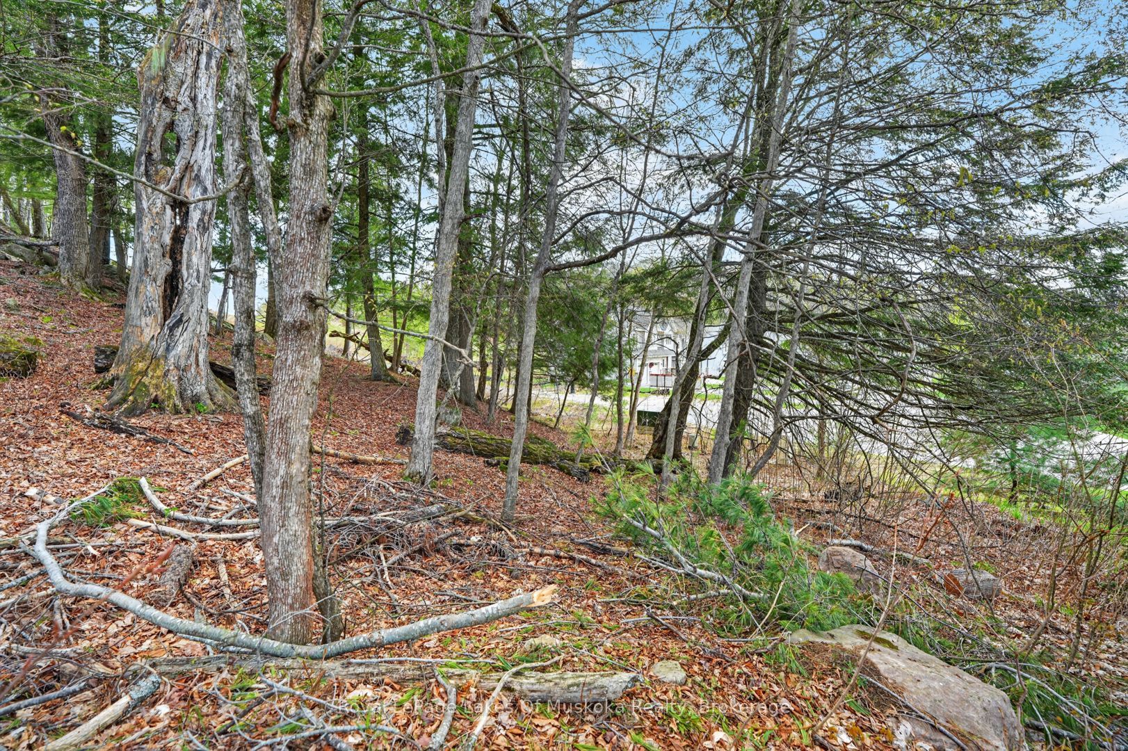 32 Gainsborough Road, Bracebridge, ON P1L 1W8 photo 3