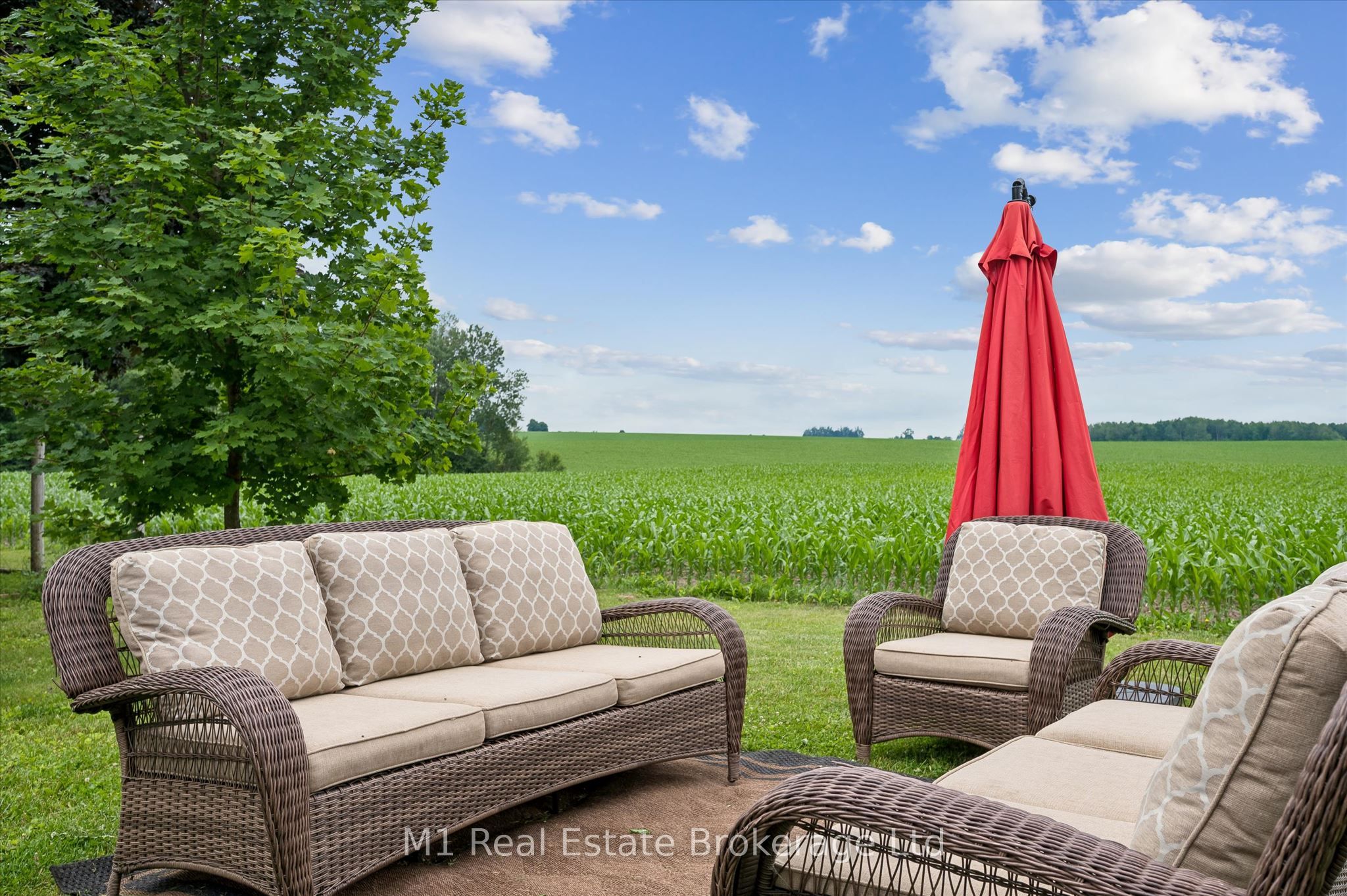 8687 Wellington Rd 22, Guelph/Eramosa, ON N0B 2K0 photo 5