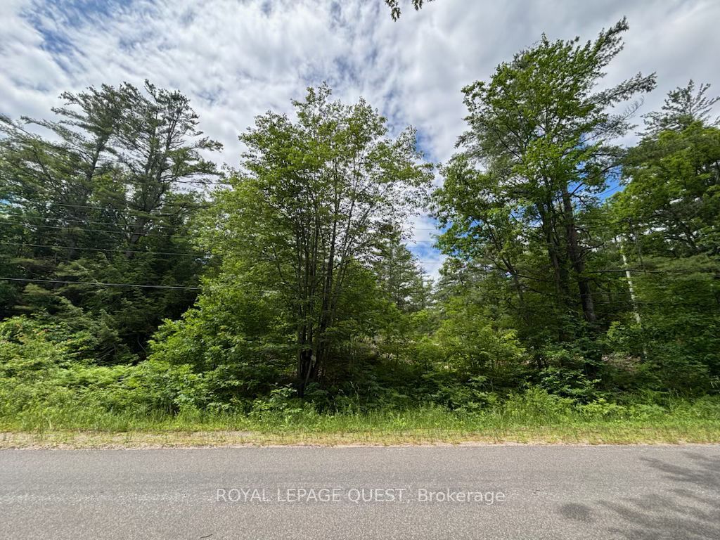 2159 Southwood Road, Gravenhurst, ON P0E 1G0