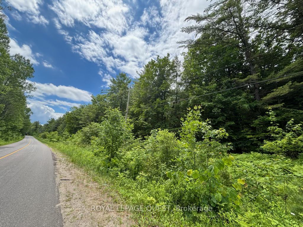 2159 Southwood Road, Gravenhurst, ON P0E 1G0 photo 2