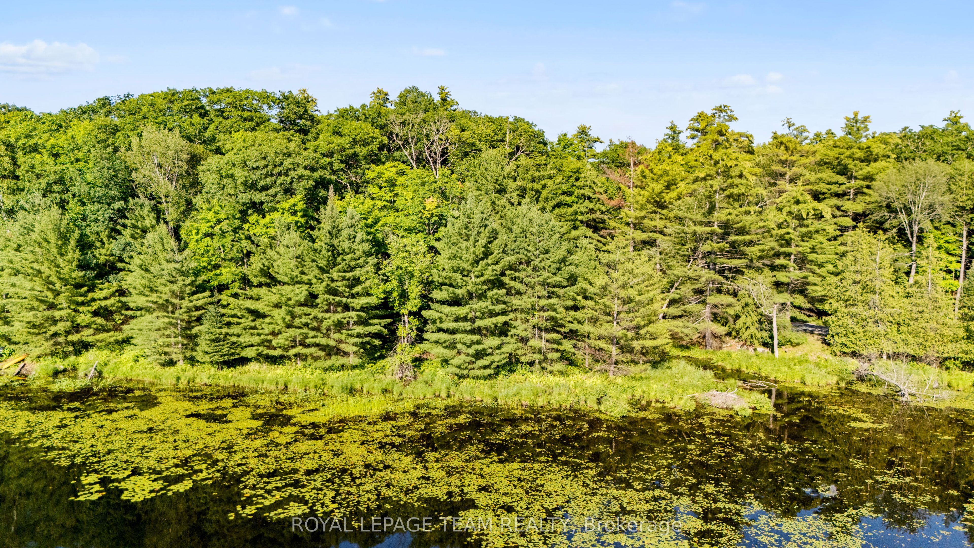 00 Little Silver Lake Road, Tay Valley, ON K0H 2B0 photo 5