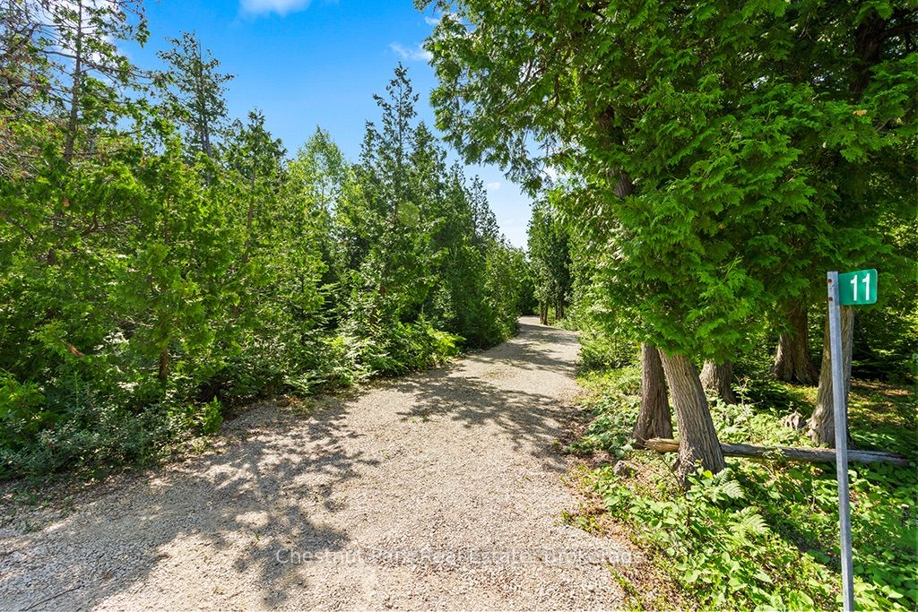 11 Eagle Road, Northern Bruce Peninsula, ON N0H 2R0 photo 3