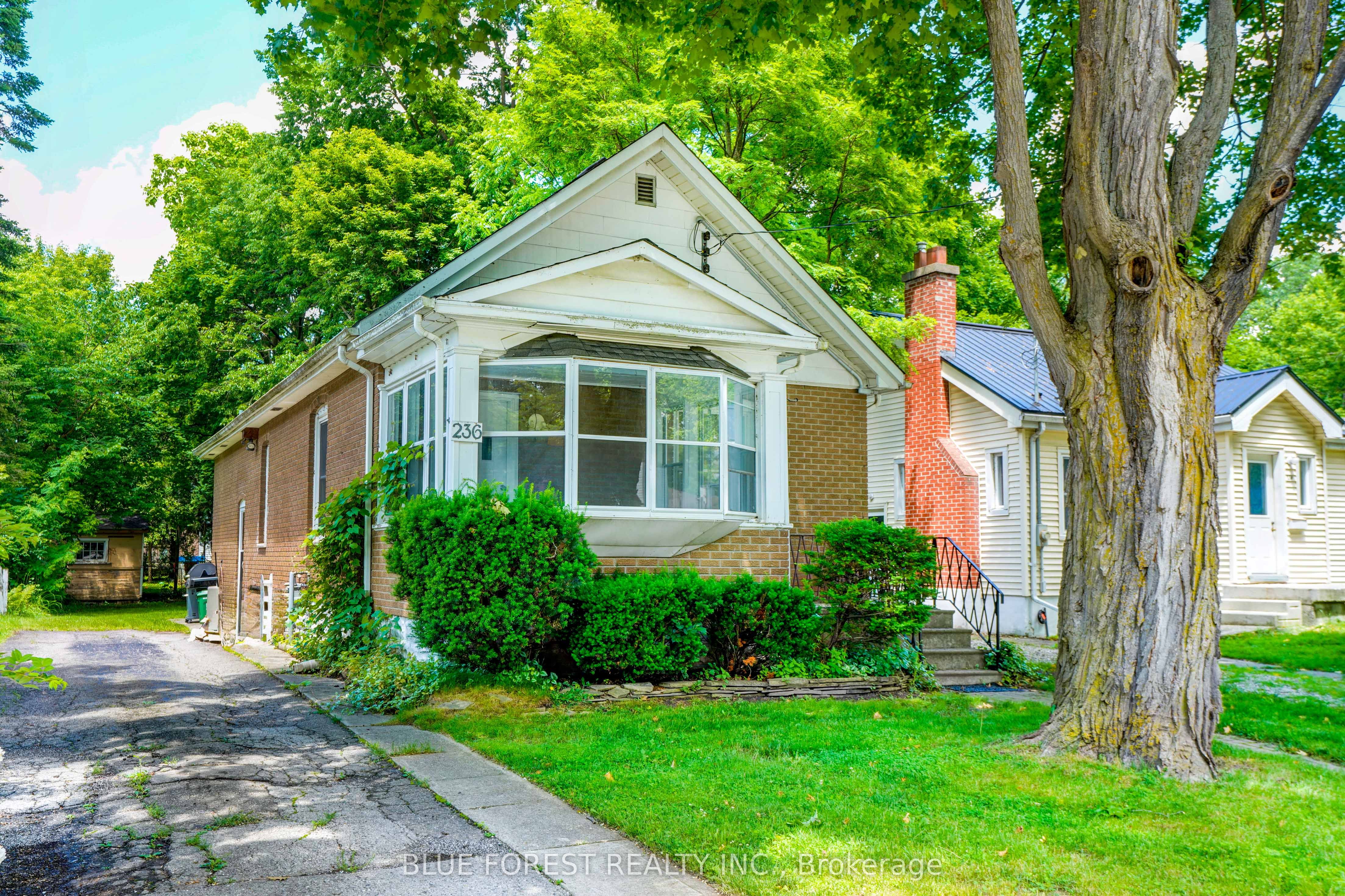 236 Bernard Avenue, London East, ON N6A 2M8 photo 2
