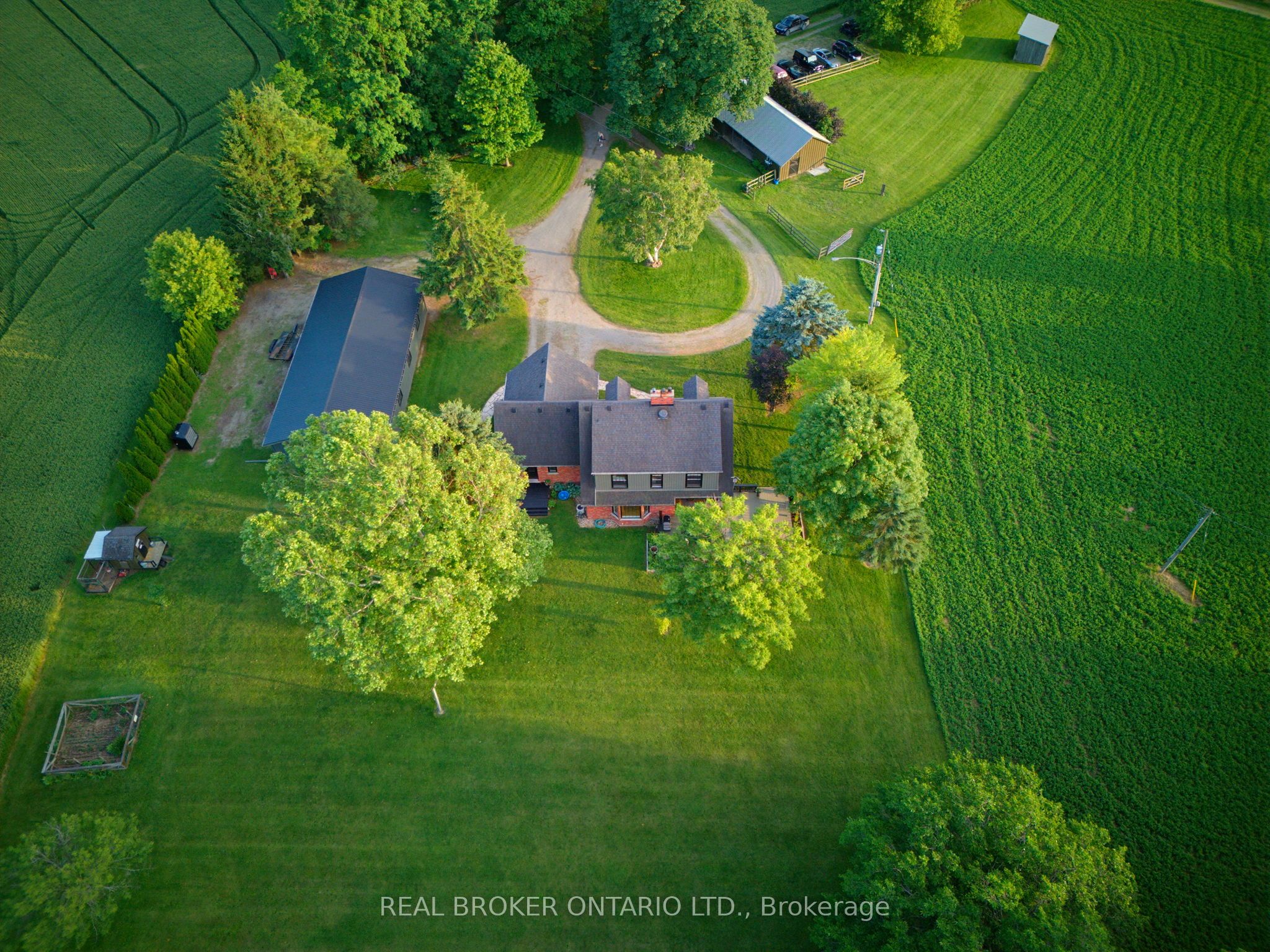 99 County Road 18 Road, Brant, ON N3T 5L9 photo 3