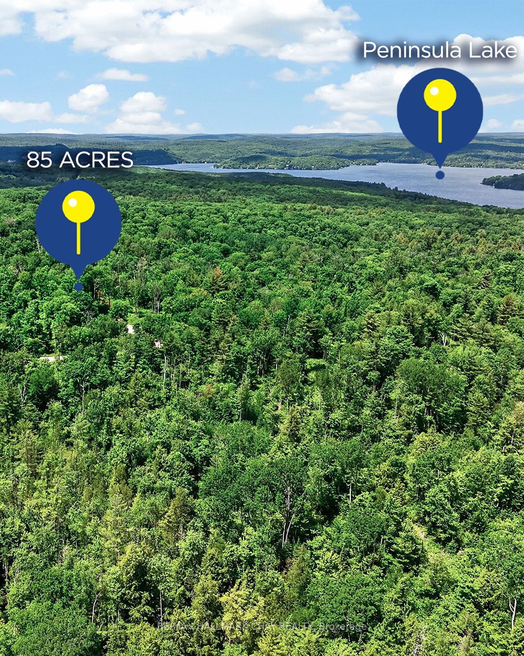 Lot 29 Concession 11 Franklin N/A, Lake of Bays, ON N0N 0N0 photo 2
