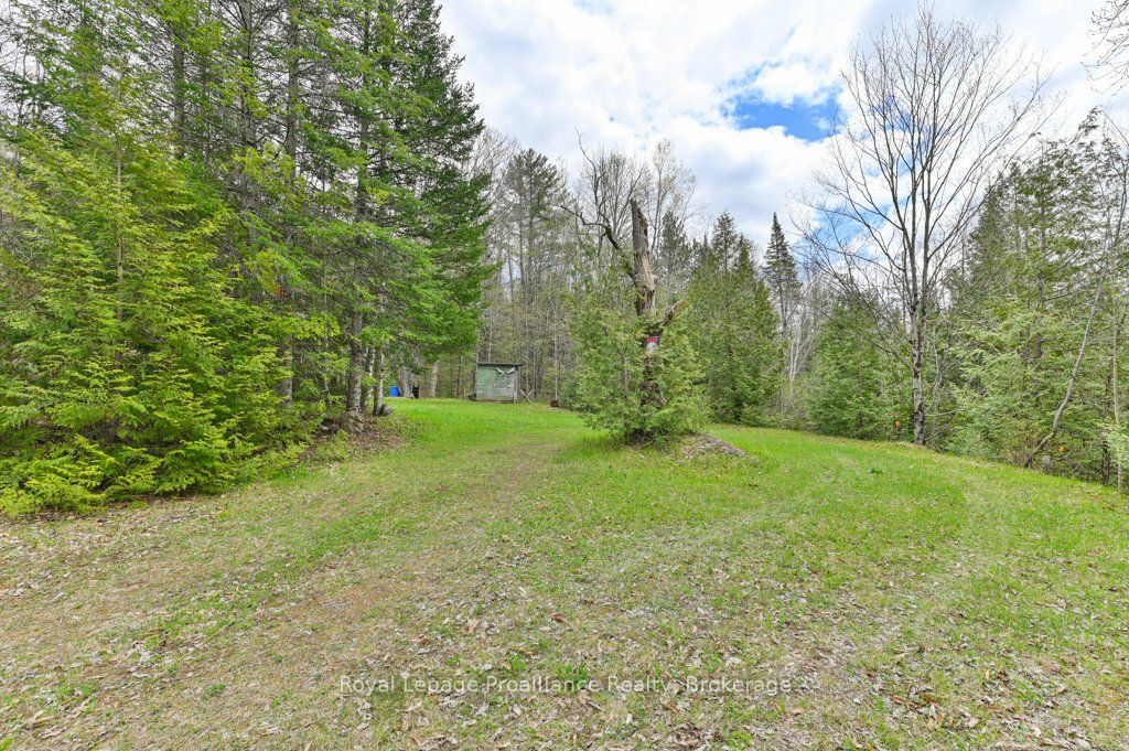 2611 River Road, North Frontenac, ON K0H 2J0 photo 4