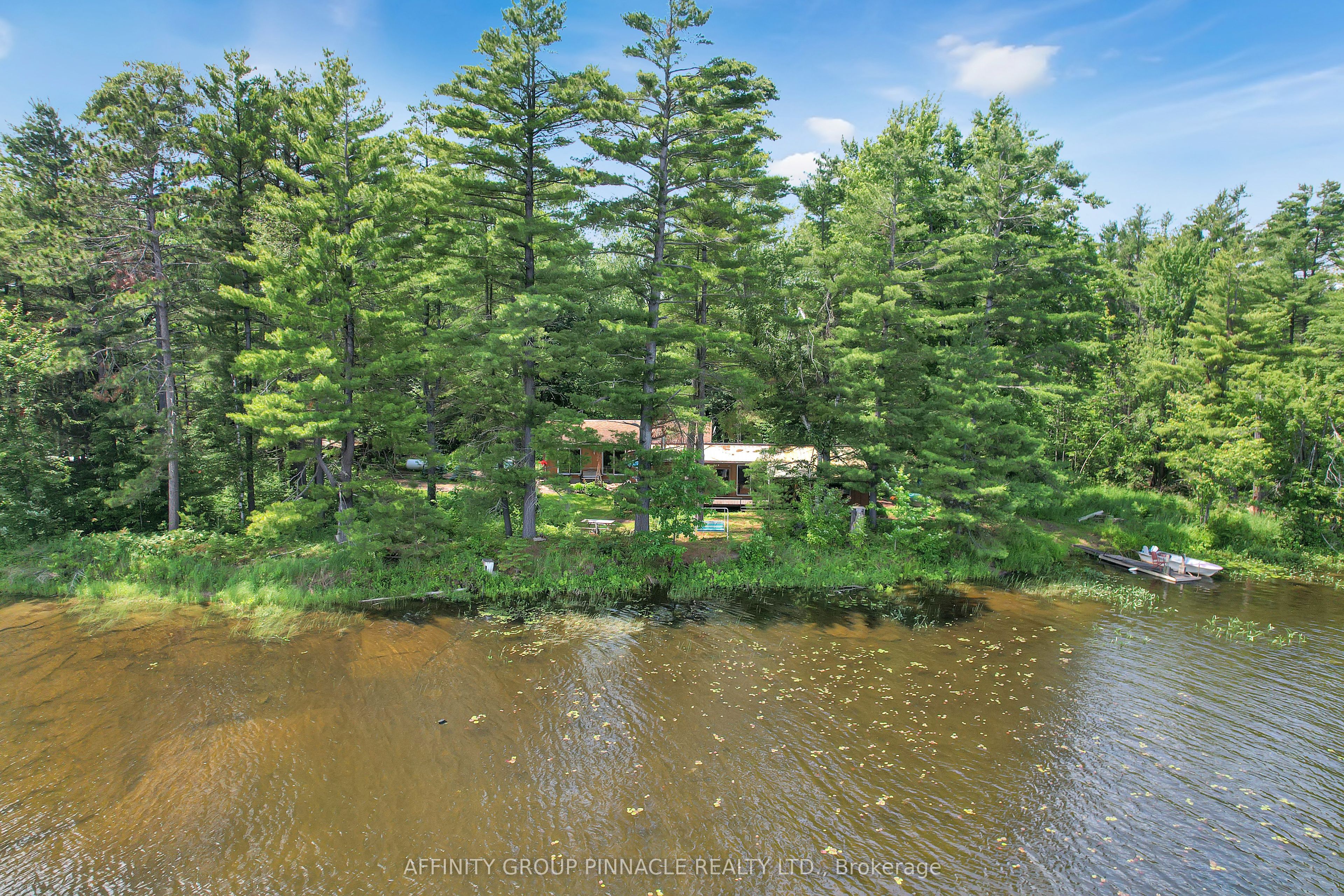 396 North Shore Road, Kawartha Lakes, ON K0M 2B0 photo 3