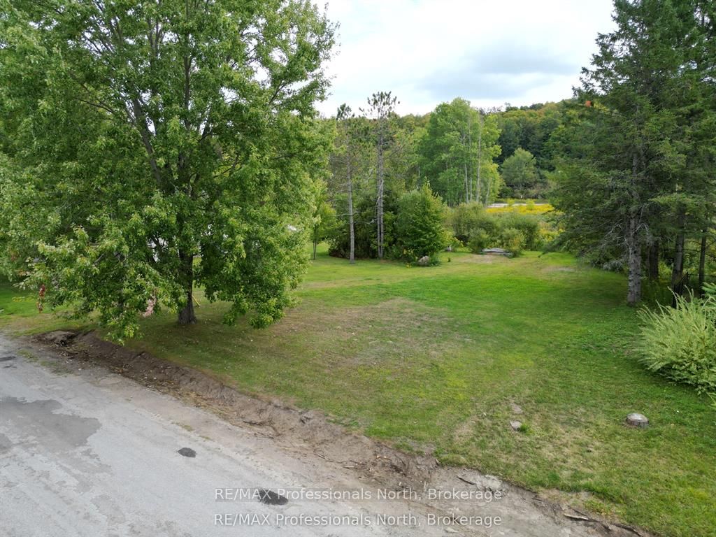 0 Parts Lot 12, Plan 1, Anson Street, Minden Hills, ON K0M 2K0 photo 2