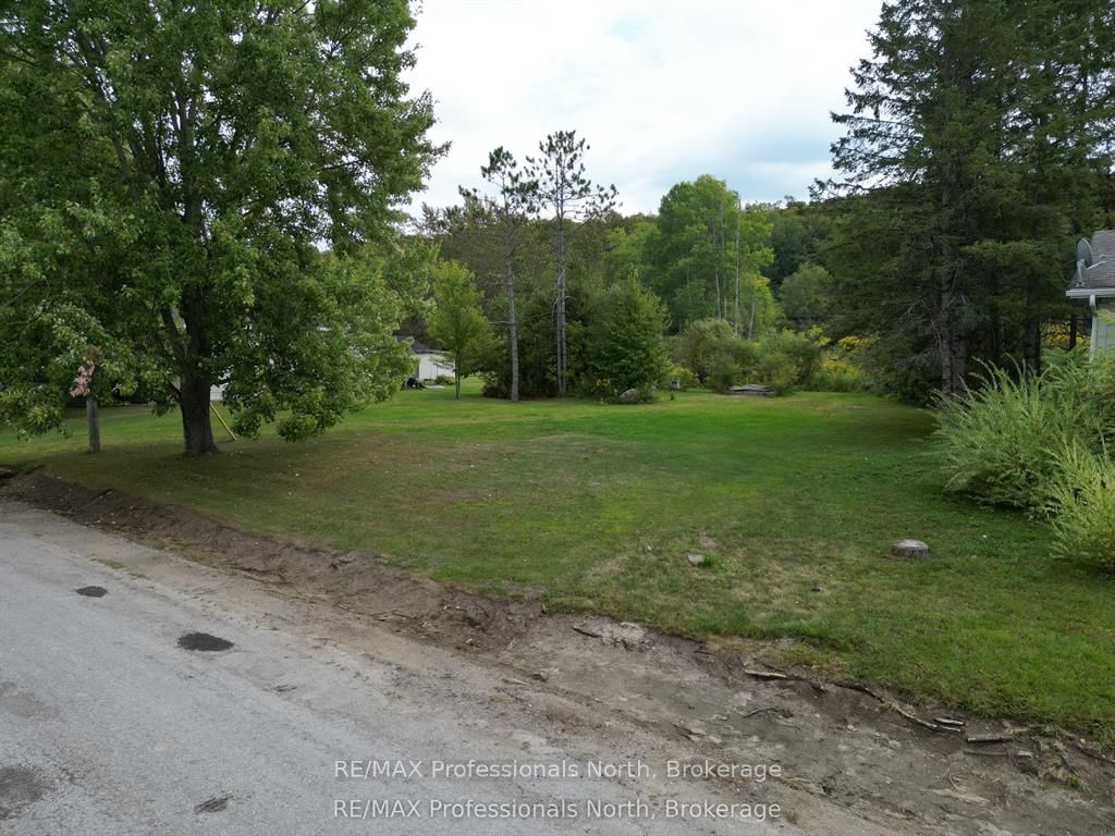 0 Parts Lot 12, Plan 1, Anson Street, Minden Hills, ON K0M 2K0 photo 4