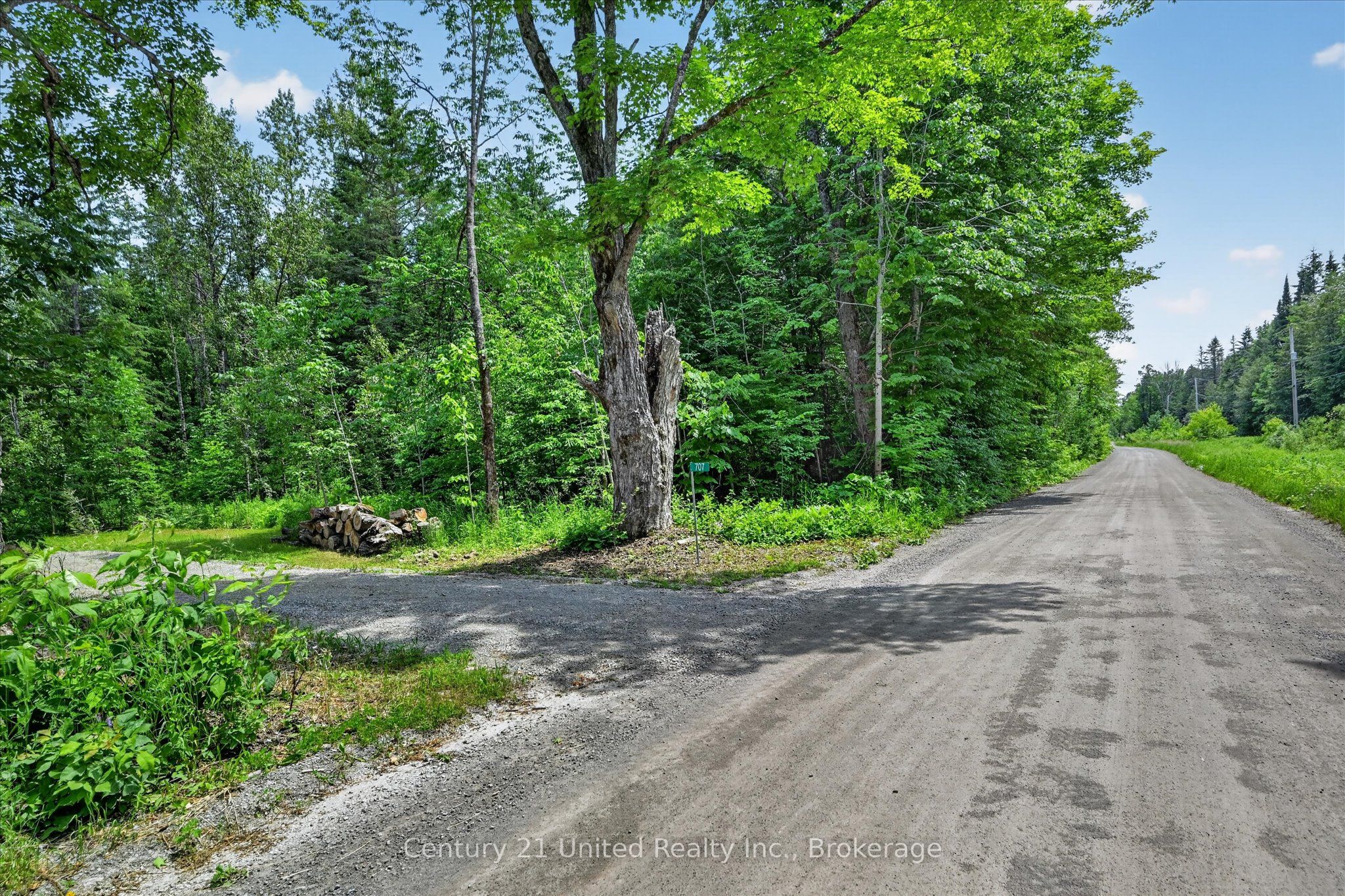 707 S Dummer 8th Line Road, Douro-Dummer, ON K0L 2V0 photo 4
