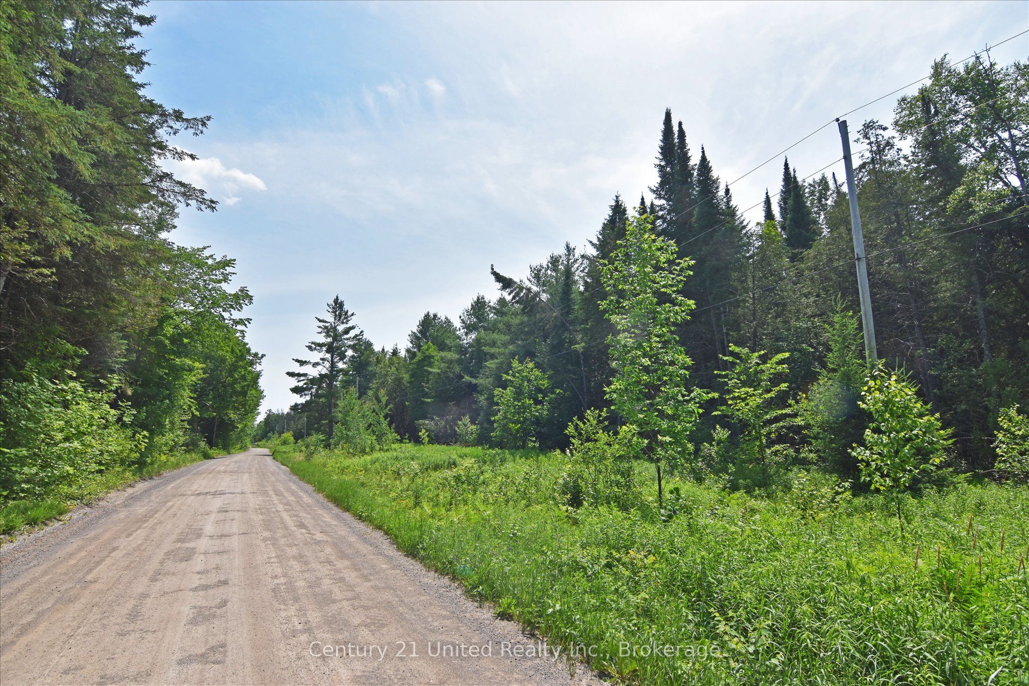 707 S Dummer 8th Line Road, Douro-Dummer, ON K0L 2V0 photo 5