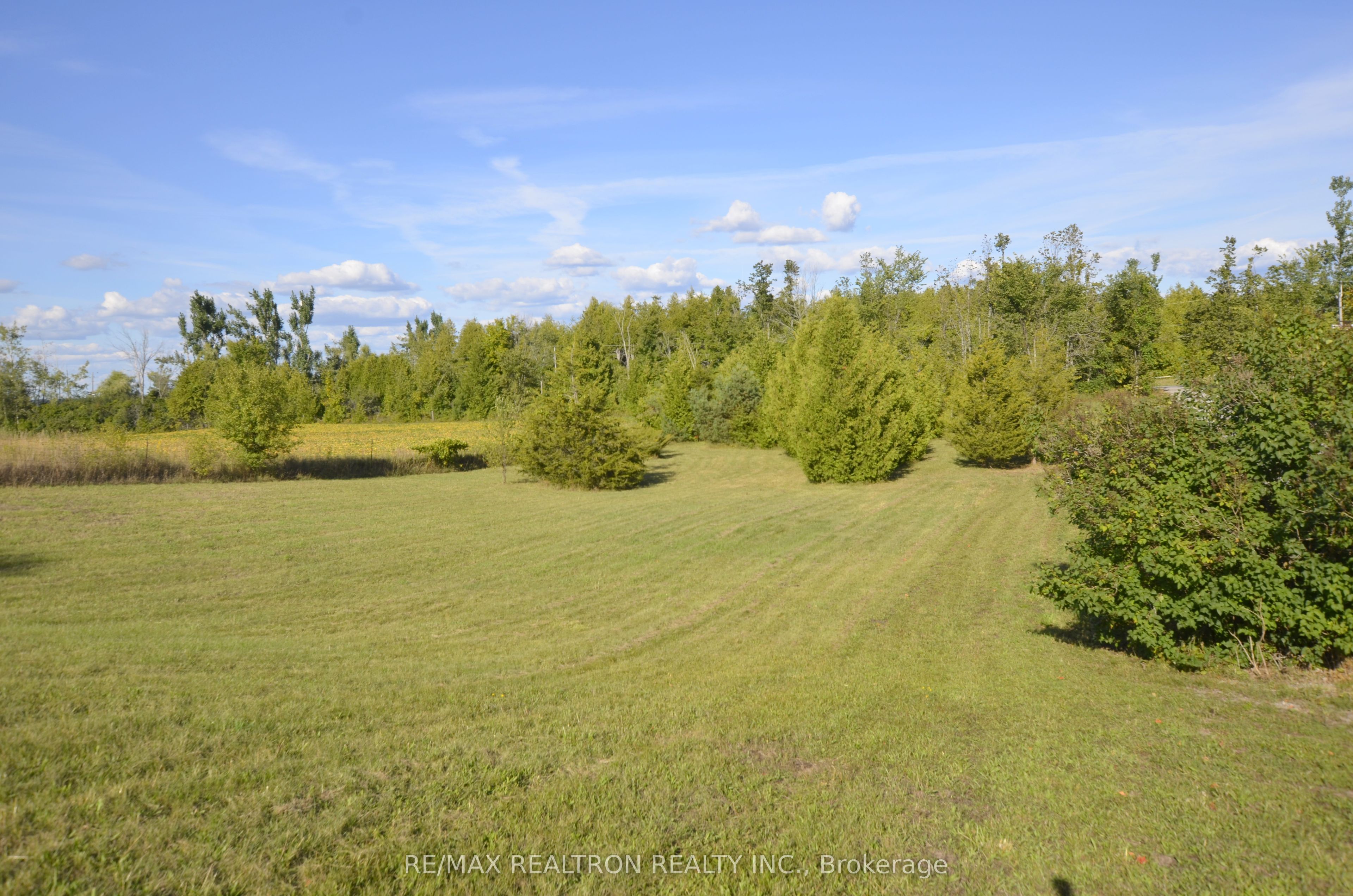 505 Scotch Line Road, Kawartha Lakes, ON K0M 1L0 photo 5