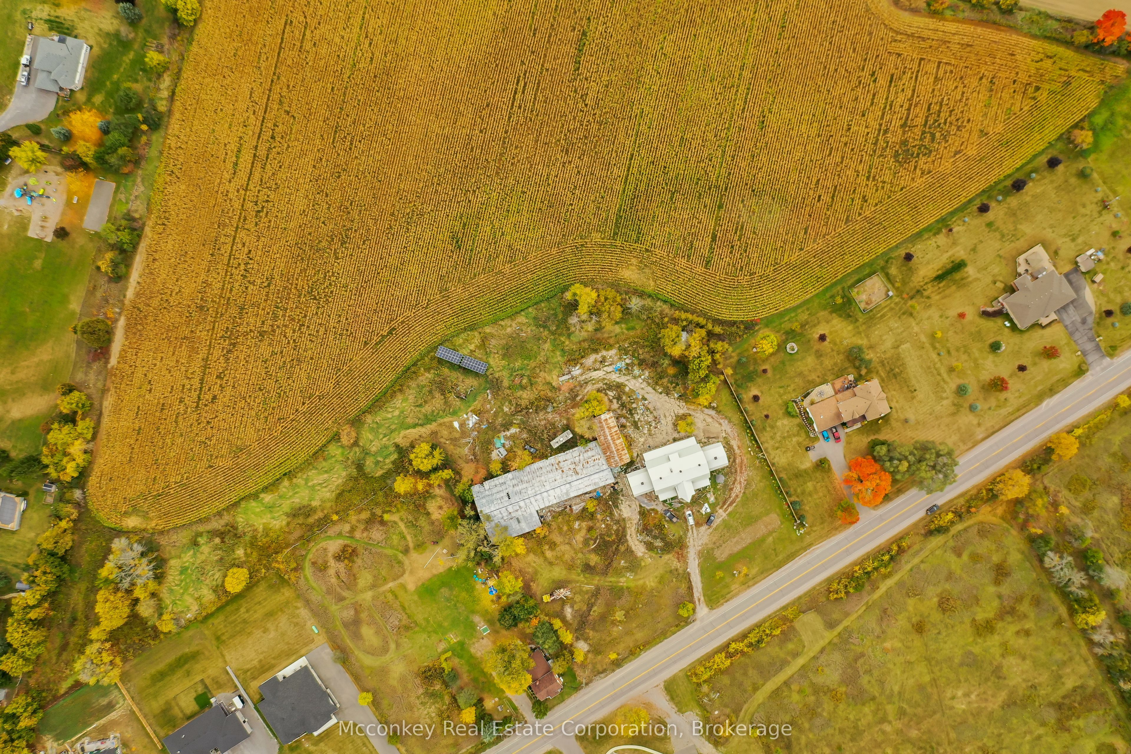 3413 Wallace Point Road, Otonabee-South Monaghan, ON K9J 6Y3 photo 5
