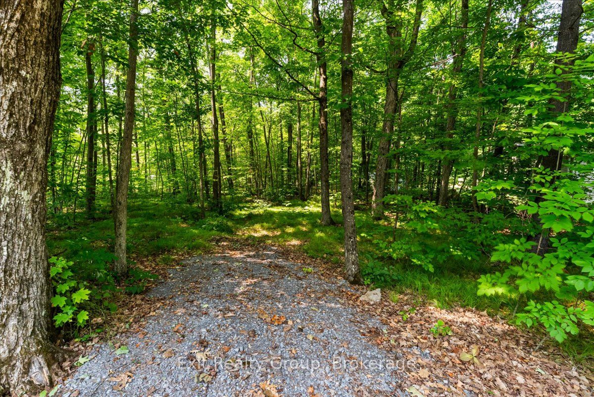 143 Marble Point Road, Marmora and Lake, ON K0K 2M0 photo 2