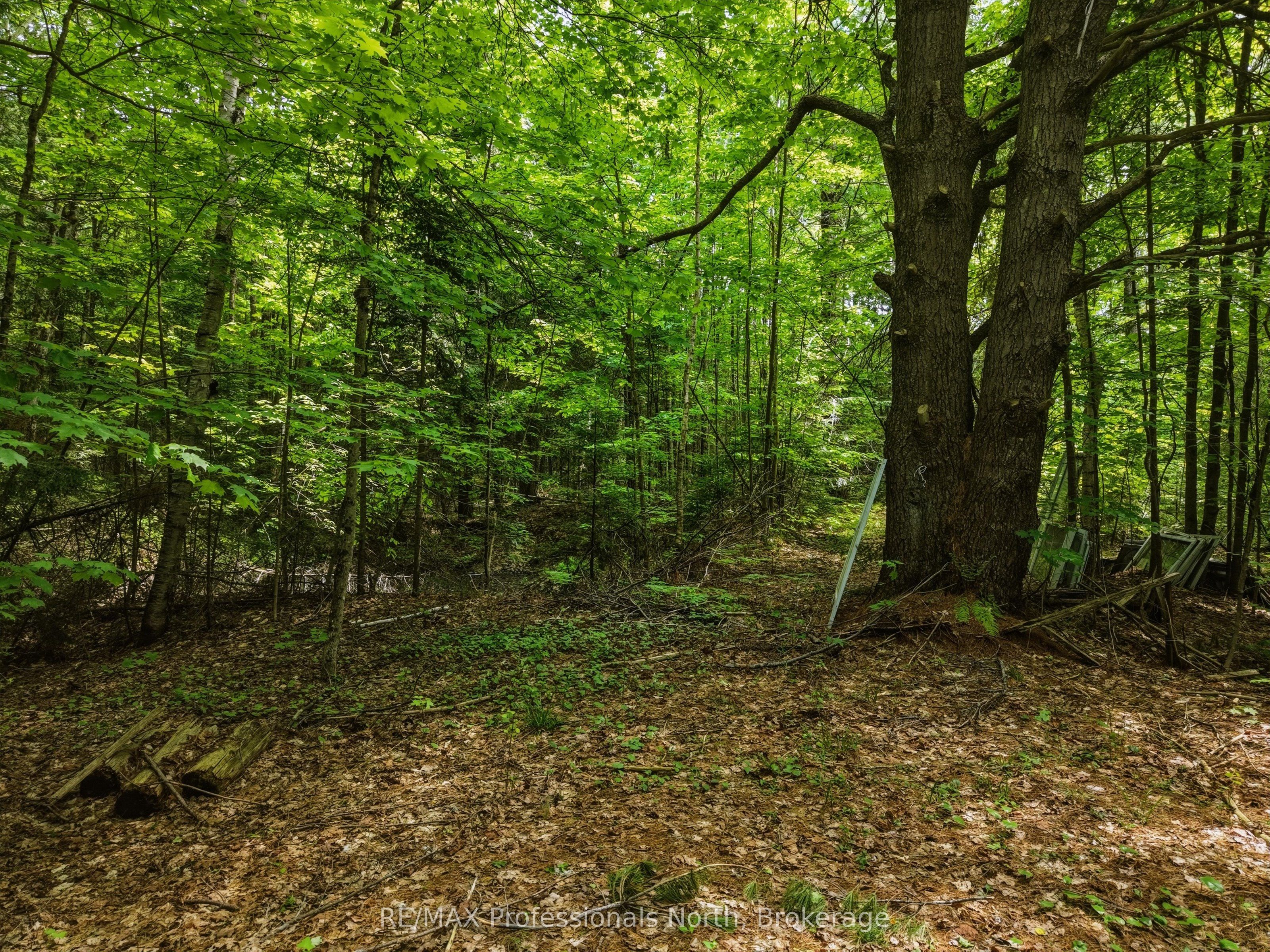 2445 Manitoba Street, Bracebridge, ON P1L 1X4