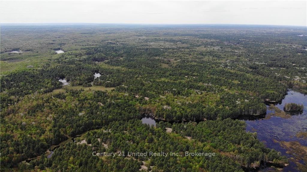 LT 9 N 1/2 LT 10 CON 13, Kawartha Lakes, ON L0K 1W0