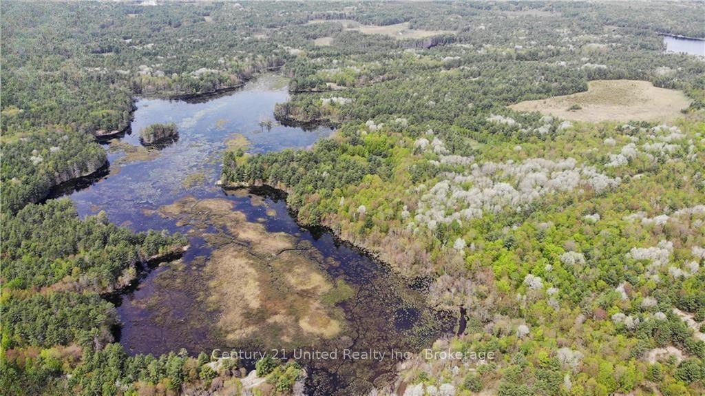 LT 9 N 1/2 LT 10 CON 13, Kawartha Lakes, ON L0K 1W0 photo 2