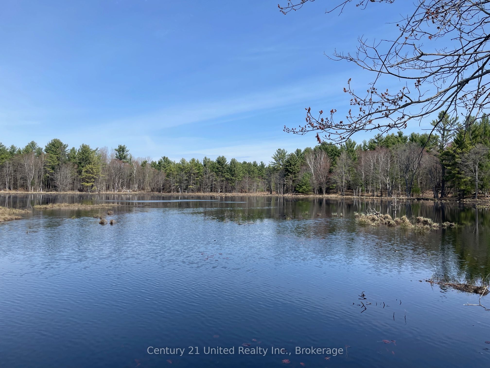 LT 9 N 1/2 LT 10 CON 13, Kawartha Lakes, ON L0K 1W0 photo 4
