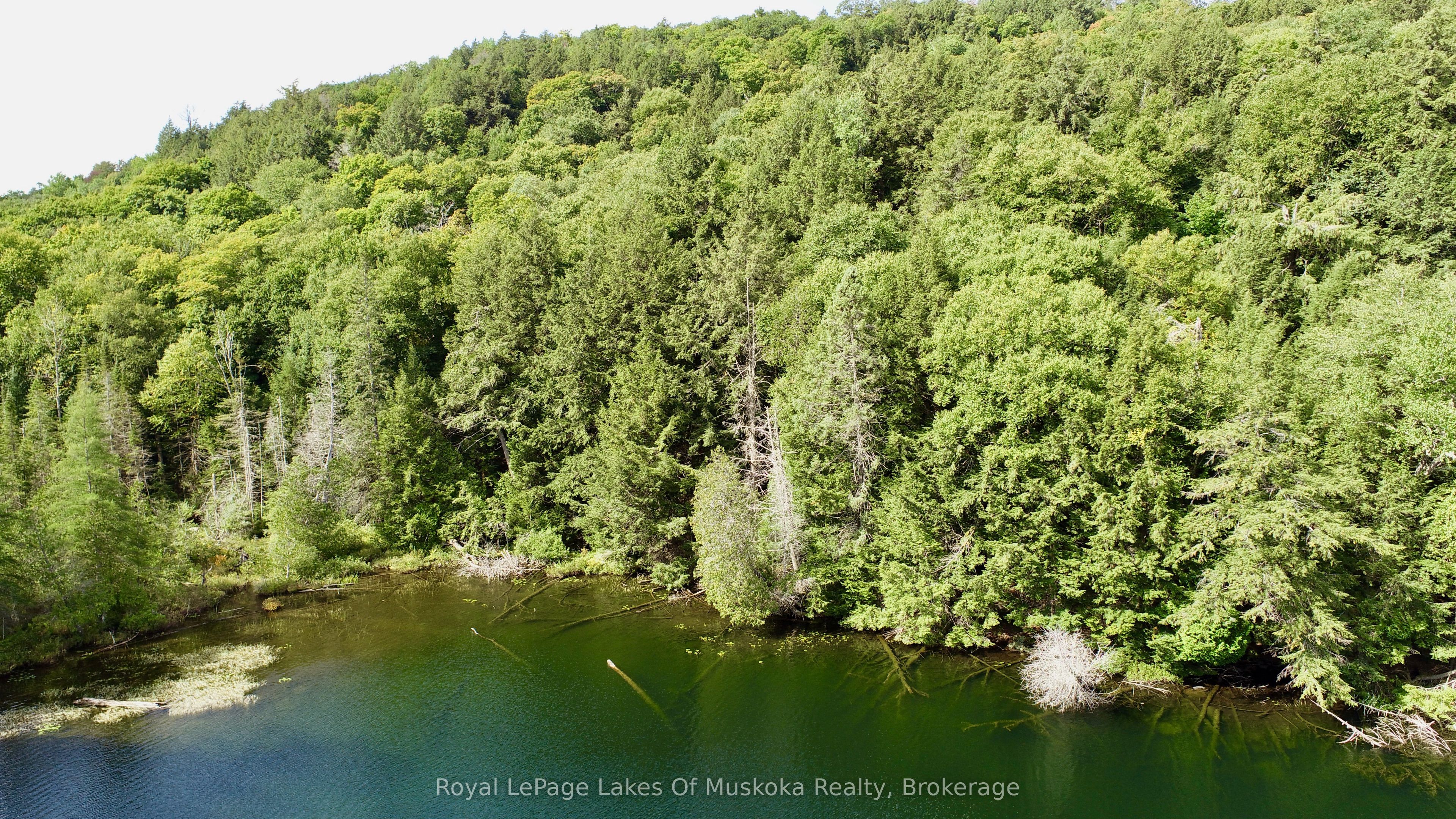 0 Island Lake WAO Island, Kearney, ON P0A 1M0 photo 5