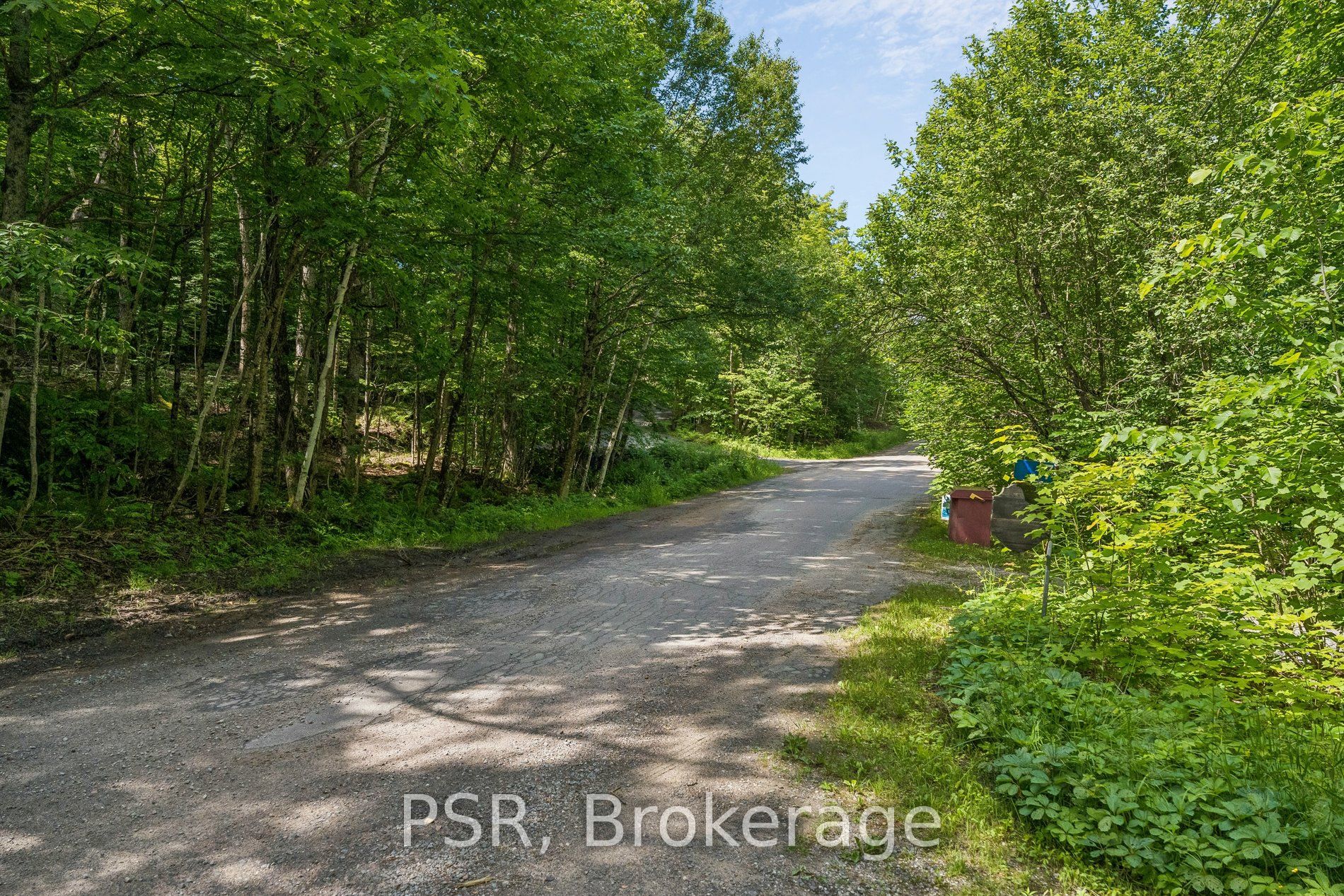 1158 Shea Road 17, Muskoka Lakes, ON P0B 1M0 photo 3