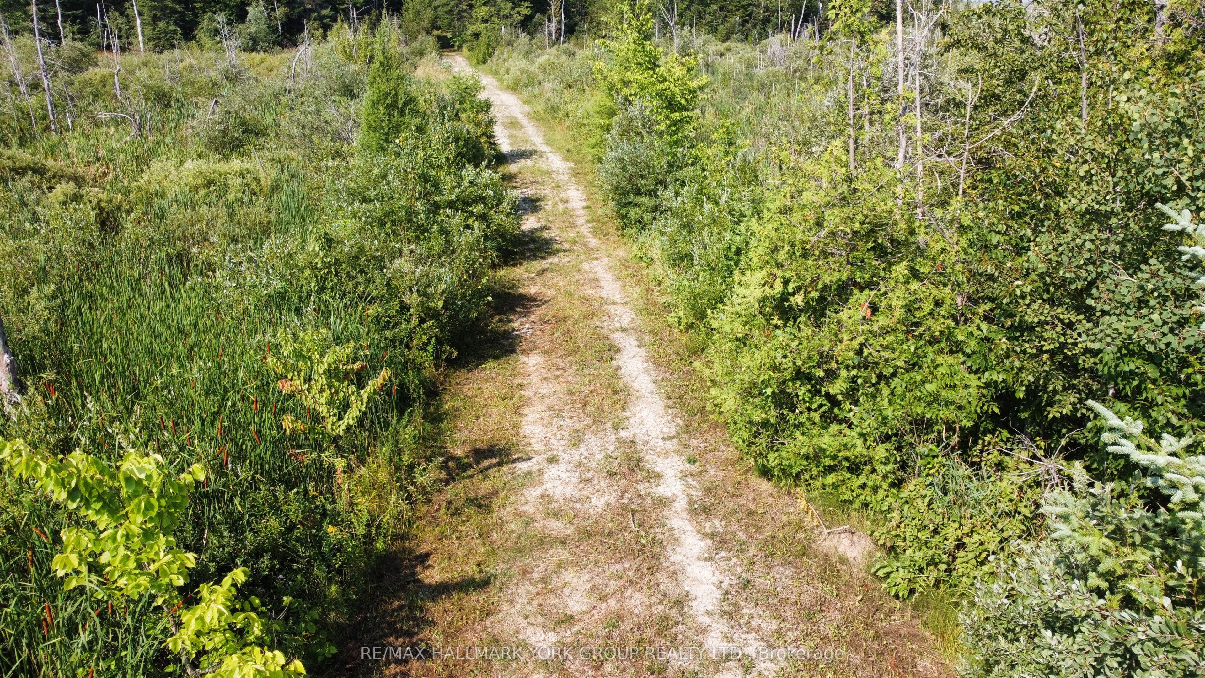 Pt Lot 80 Grey Road, Grey Highlands, ON N0C 1M0