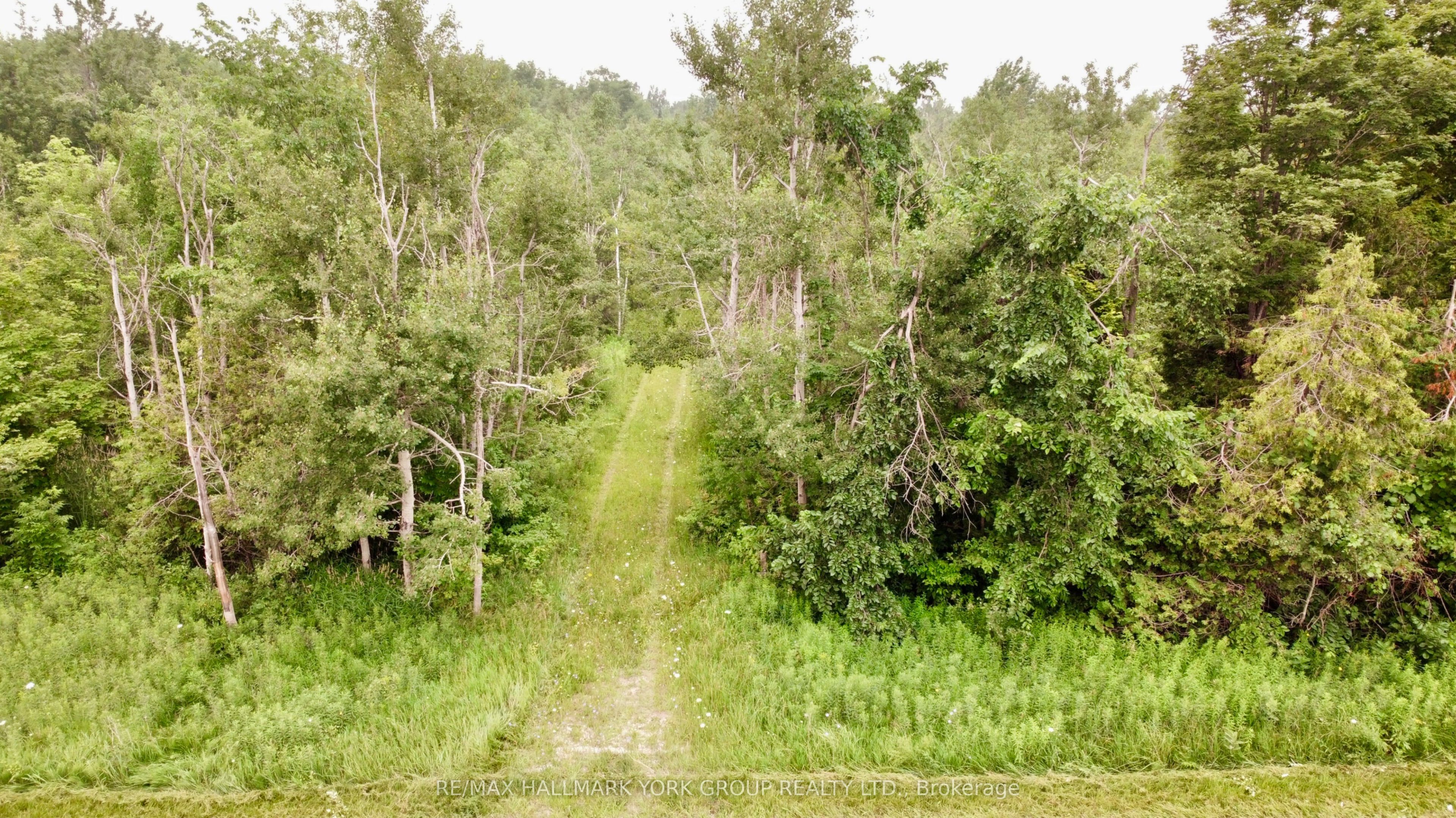 Pt Lot 80 Grey Road, Grey Highlands, ON N0C 1M0 photo 2