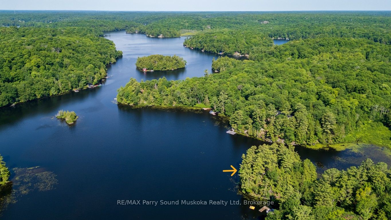 509 Horseshoe Lake WA (Bear Lane), Seguin, ON P2A 2W8 photo 3