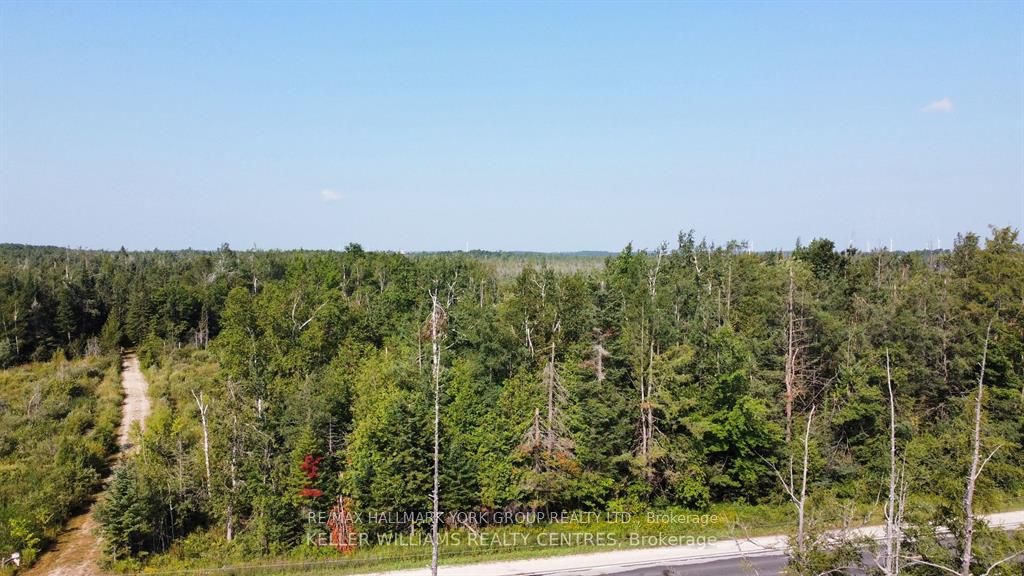 Pt LT 80 Grey Rd 124 Grey Road, Grey Highlands, ON N0C 1A0