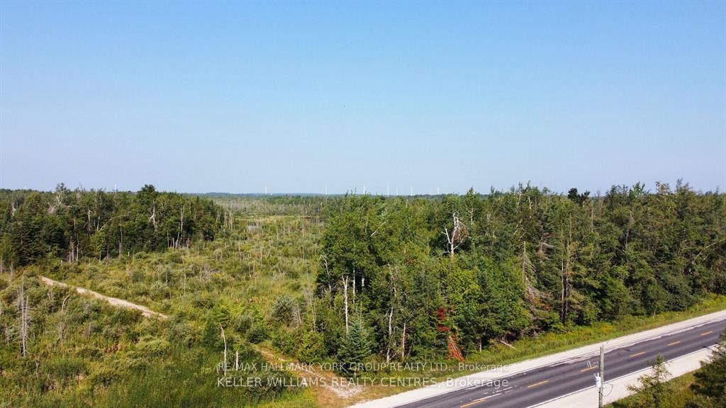 Pt LT 80 Grey Rd 124 Grey Road, Grey Highlands, ON N0C 1A0 photo 3