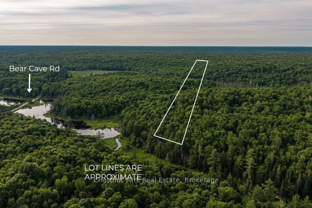 N/A .N/A, Muskoka Lakes, ON P0C 1J0 photo 2
