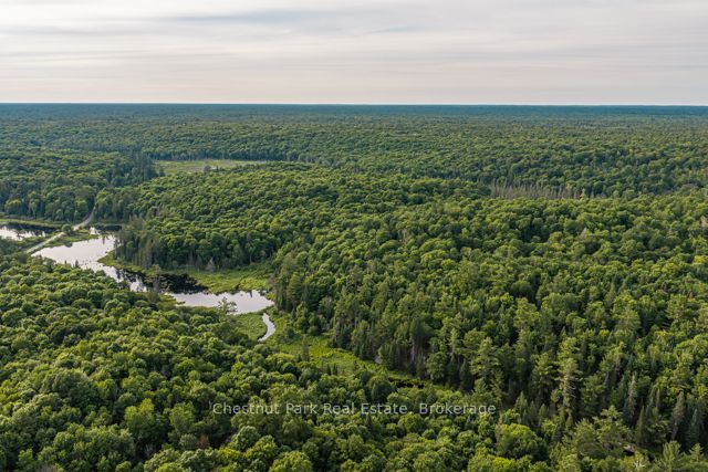 N/A .N/A, Muskoka Lakes, ON P0C 1J0 photo 5