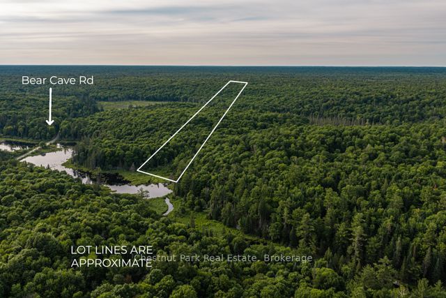 0 0, Muskoka Lakes, ON P0C 1J0 photo 2