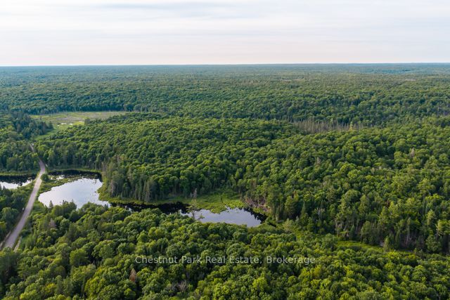 0 0, Muskoka Lakes, ON P0C 1J0 photo 5