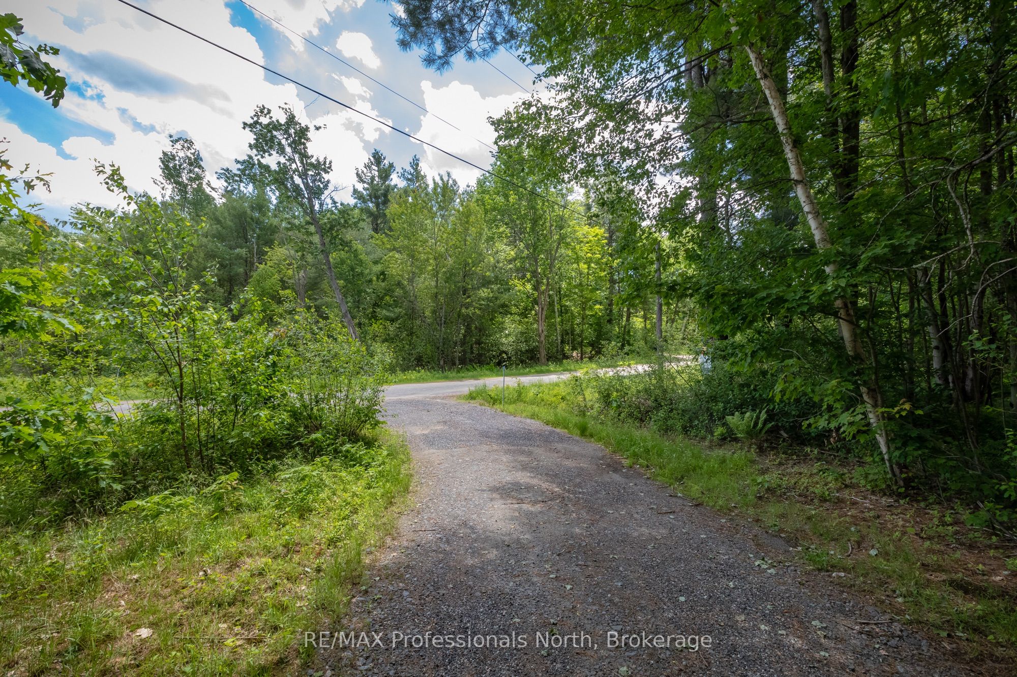 1219 MEDORA LAKE Road, Muskoka Lakes, ON P0C 1A0 photo 3