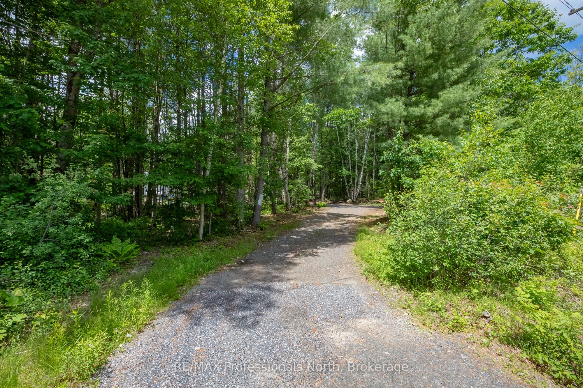 1219 MEDORA LAKE Road, Muskoka Lakes, ON P0C 1A0 photo 4