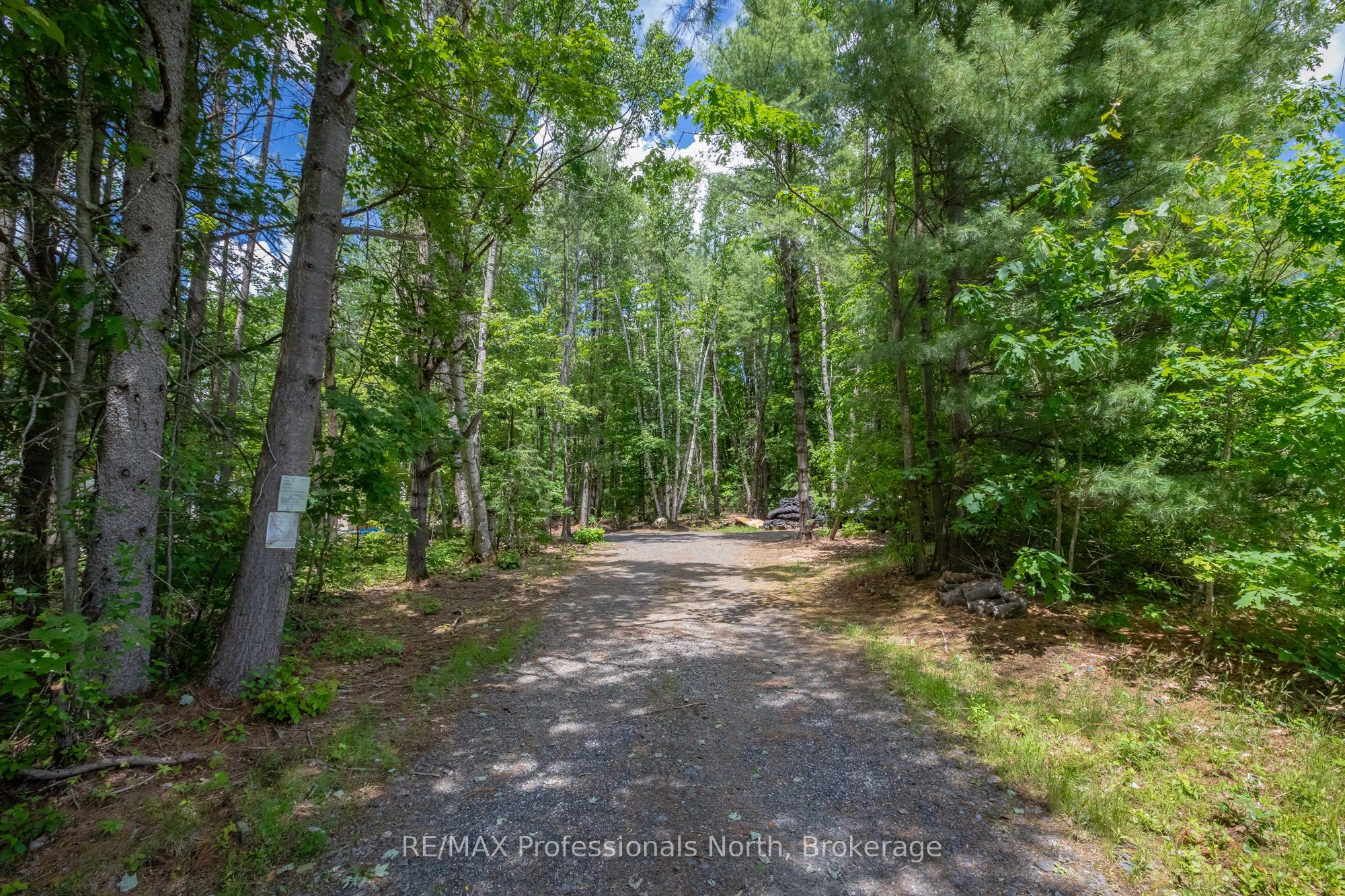 1219 MEDORA LAKE Road, Muskoka Lakes, ON P0C 1A0 photo 5