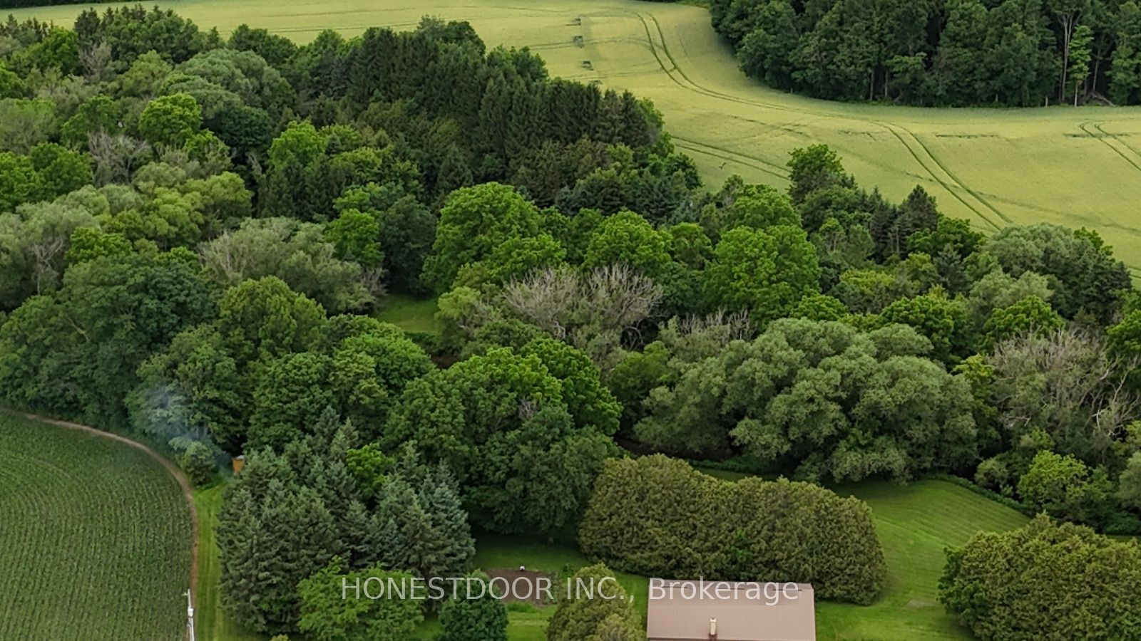 21021 Cherry Hill Road, Thames Centre, ON N0M 2M0 photo 4