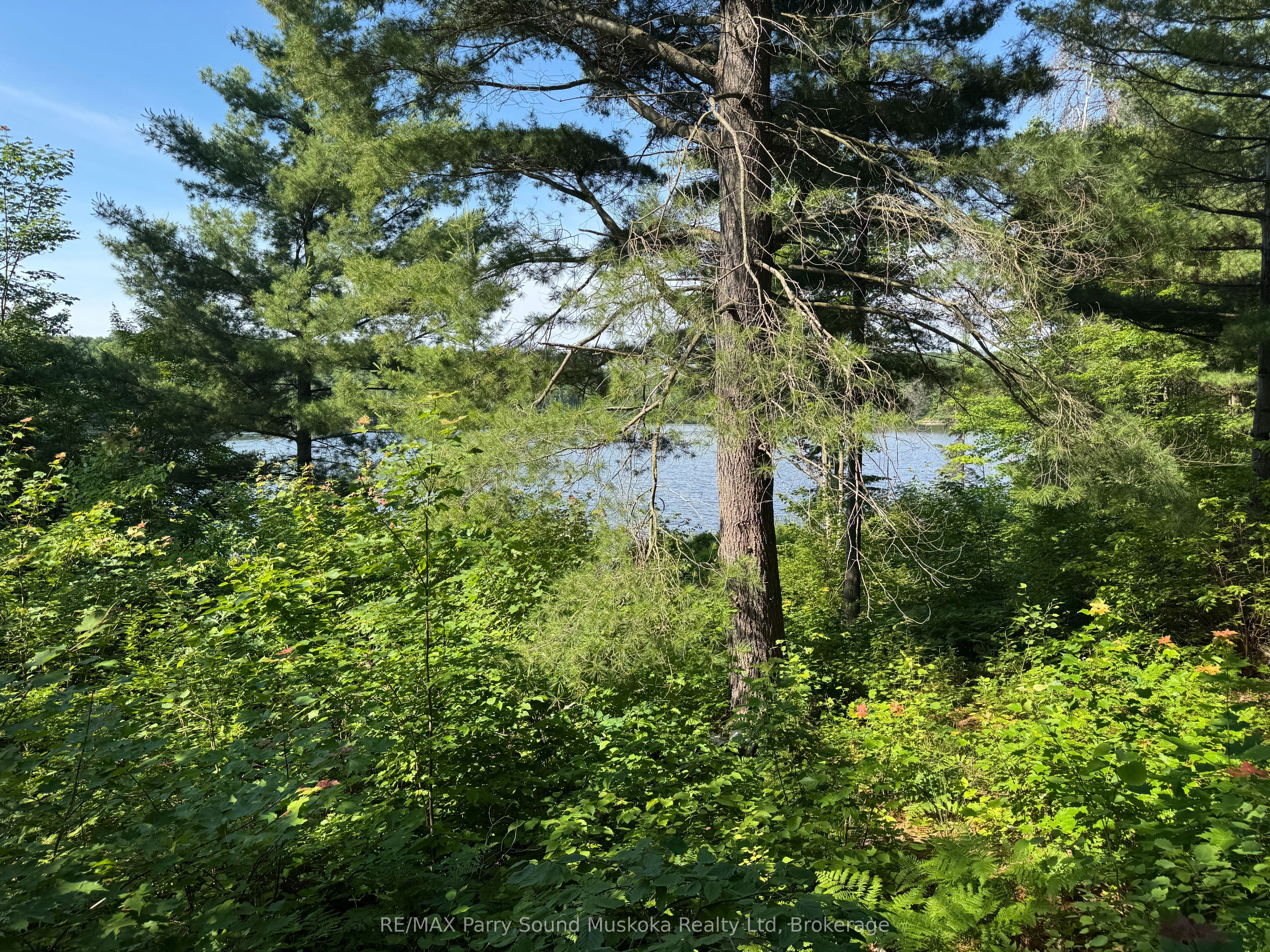7 Bourbonnaise Island, Parry Sound Remote Area, ON P0H 1Y0 photo 2