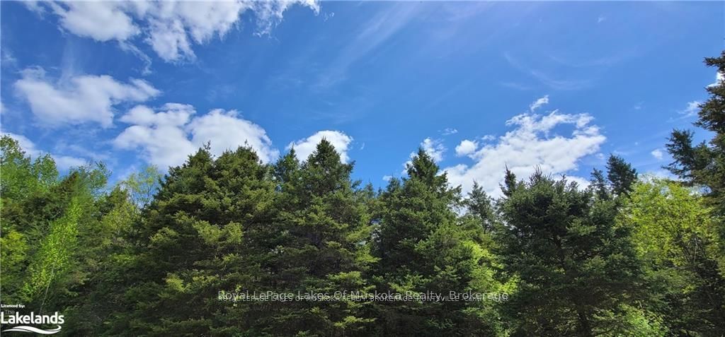 0 NORTH PICKEREL LAKE Road, Armour, ON P0A 1C0 photo 2