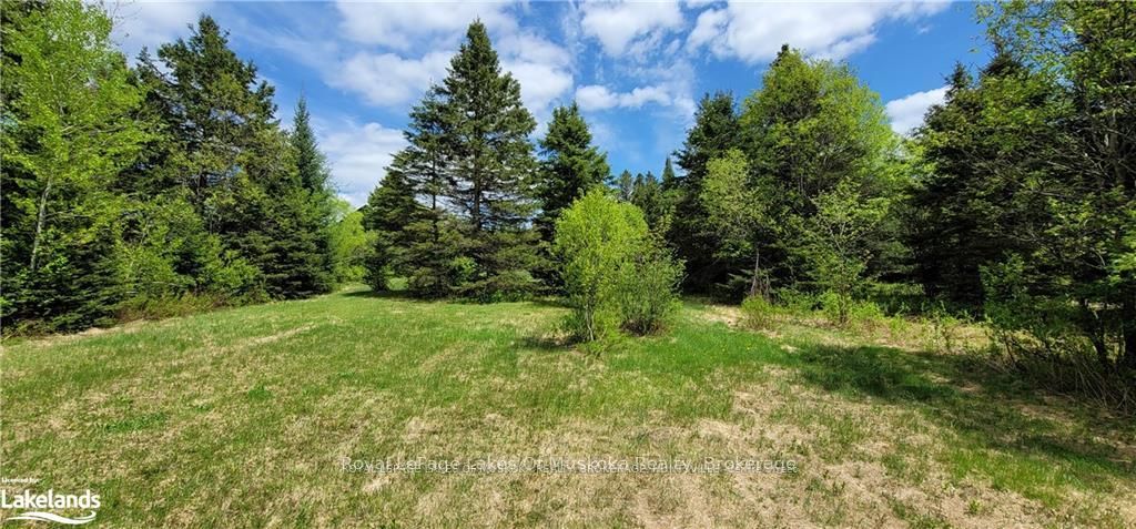 0 NORTH PICKEREL LAKE Road, Armour, ON P0A 1C0 photo 3